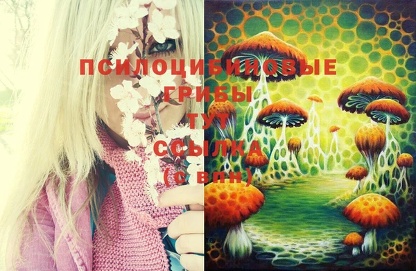 apvp Баксан