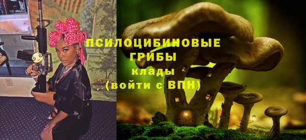 PSILOCYBIN Балахна