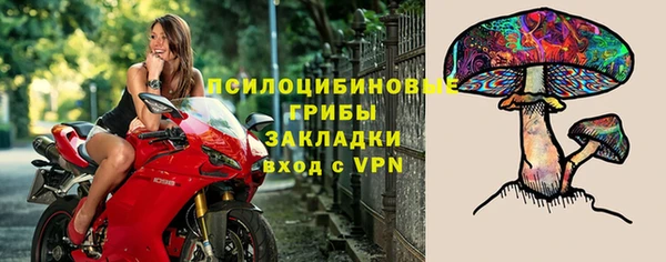дмт Балабаново