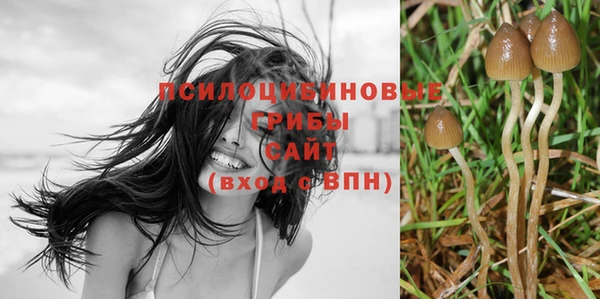дмт Балабаново