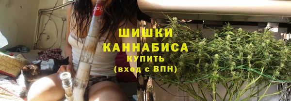 PSILOCYBIN Балахна