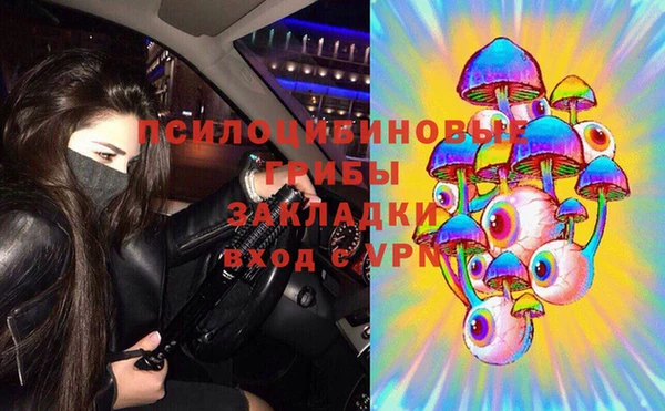 apvp Баксан