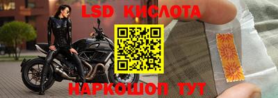 винт Партизанск