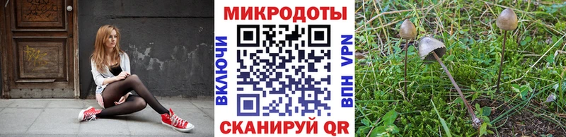 Галлюциногенные грибы Cubensis  Биробиджан 